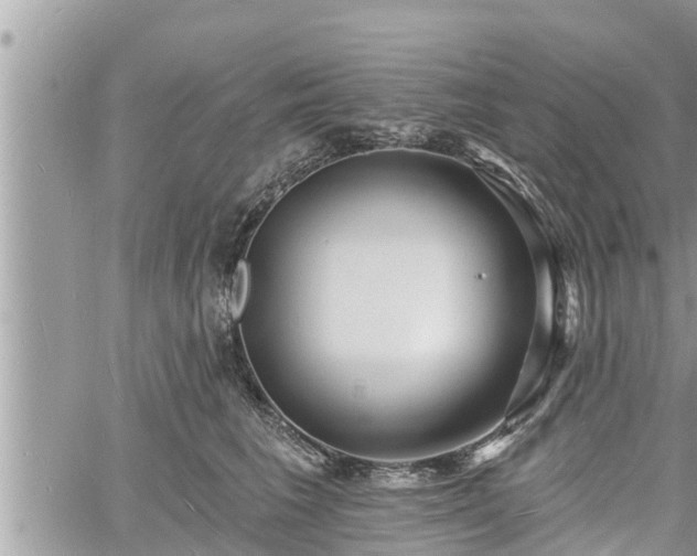 X0000060740613200511171059