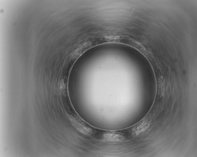 X0000060740614200511171059