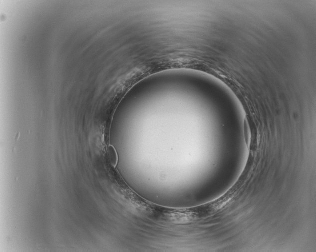 X0000060740615200511171059