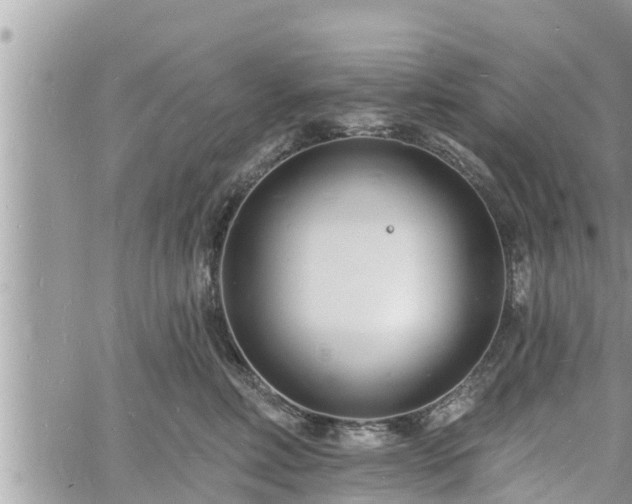 X0000060740618200511171059