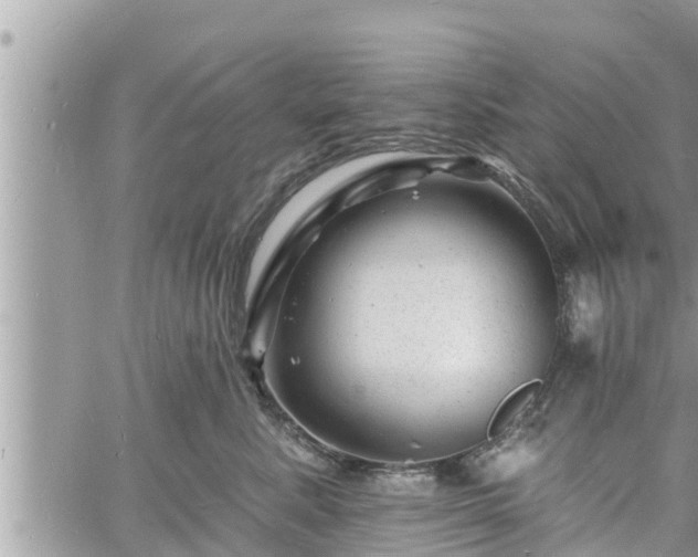 X0000060740619200511171059