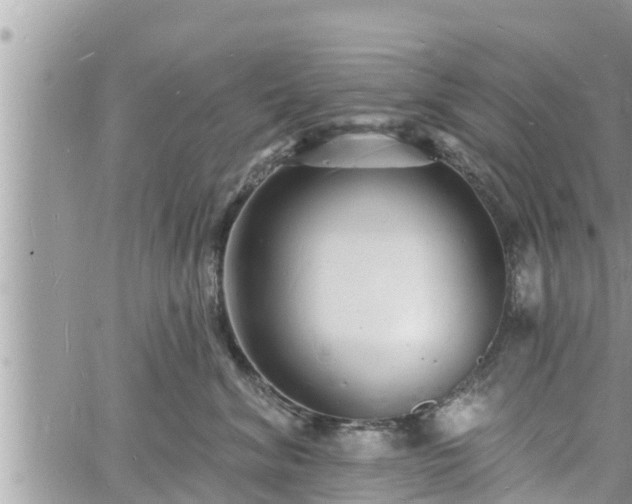 X0000060740620200511171059