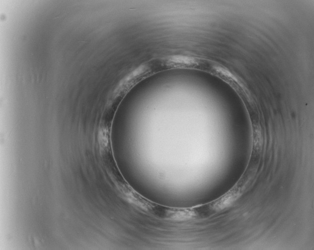 X0000060740621200511171059