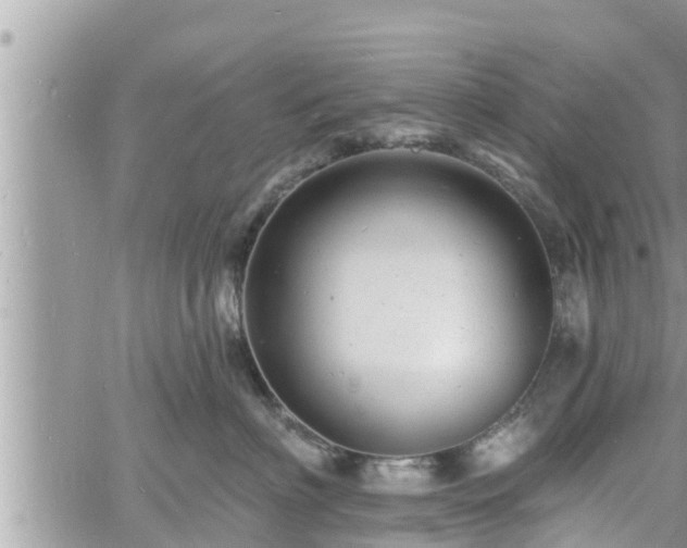 X0000060740622200511171059