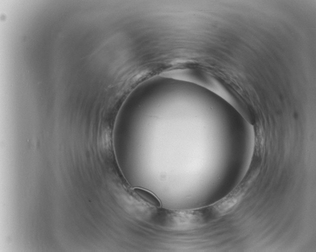 X0000060740623200511171059