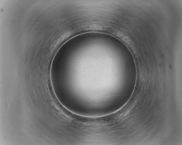 X0000060740625200511171058