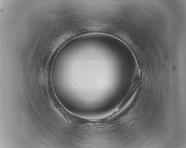 X0000060740626200511171058