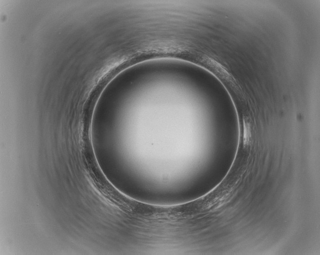 X0000060740627200511171058