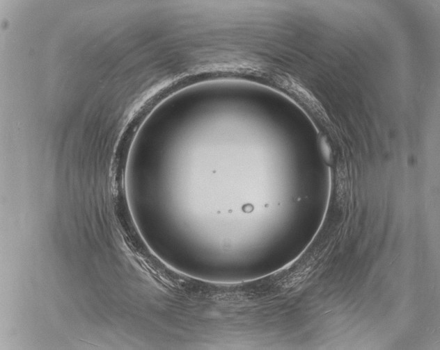 X0000060740628200511171058