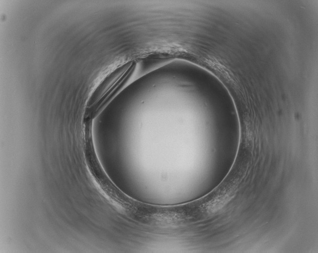 X0000060740630200511171058