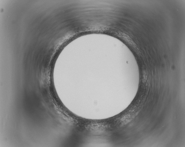 X0000060740632200511171058