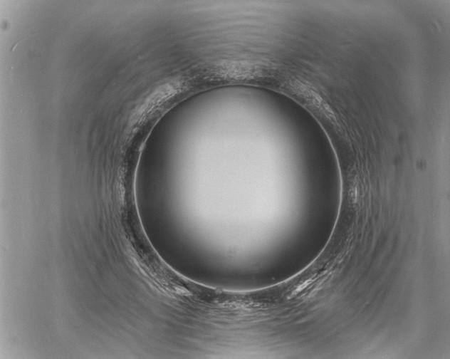 X0000060740635200511171058