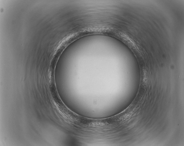 X0000060740636200511171058