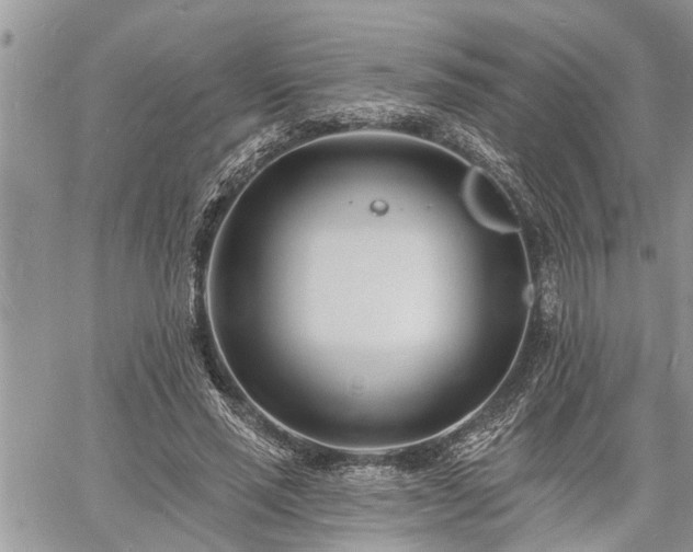 X0000060740637200511171058