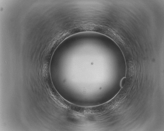 X0000060740641200511171058