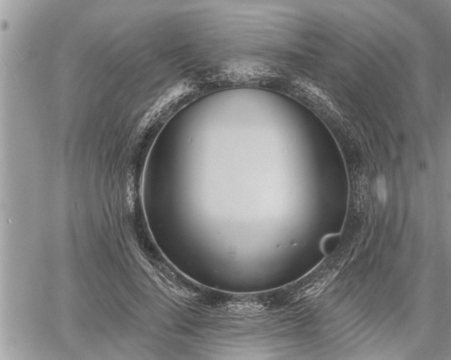 X0000060740644200511171058