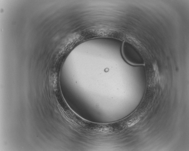 X0000060740646200511171058