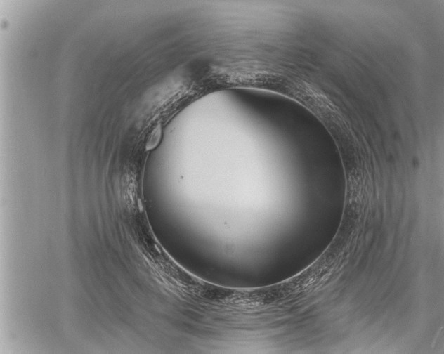 X0000060740648200511171058