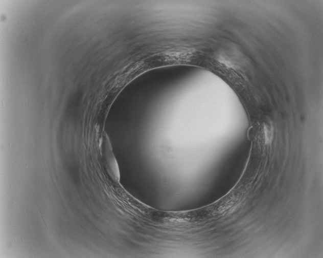 X0000060740649200511171058