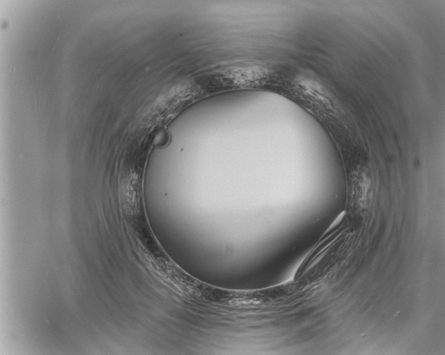 X0000060740650200511171058