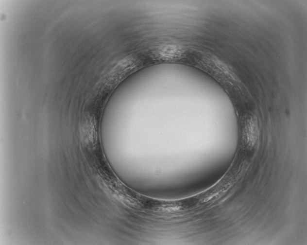 X0000060740651200511171058