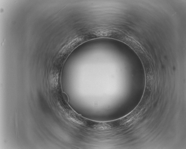 X0000060740652200511171058