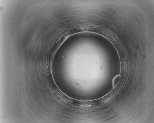 X0000060740653200511171058