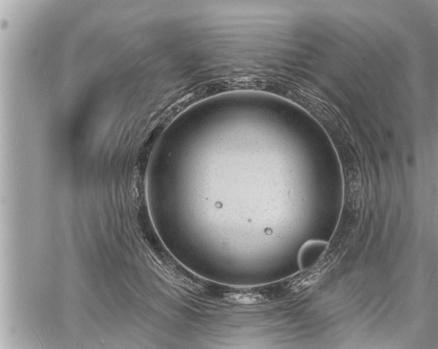 X0000060740654200511171058