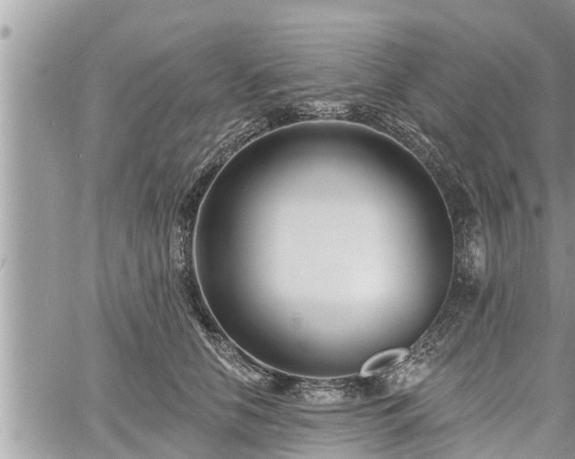 X0000060740658200511171058