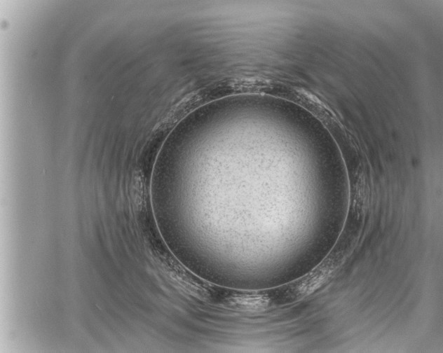 X0000060740659200511171058