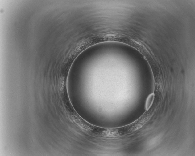 X0000060740660200511171058