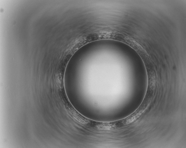 X0000060740661200511171058