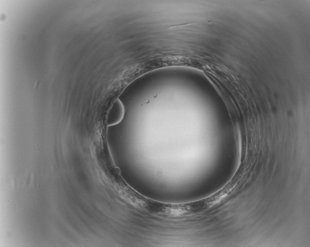 X0000060740662200511171058