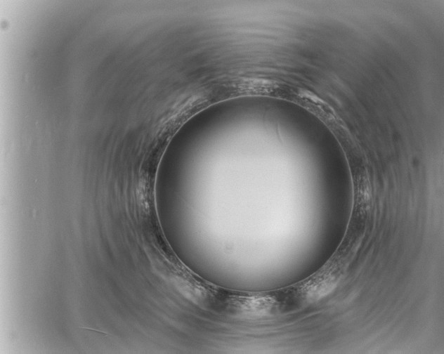 X0000060740663200511171058