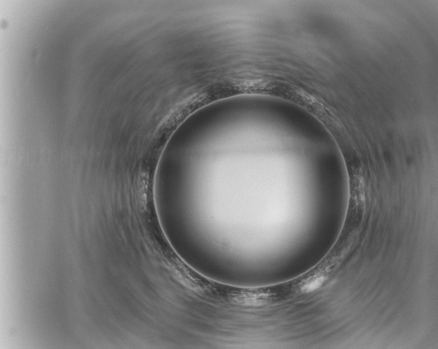 X0000060740664200511171058