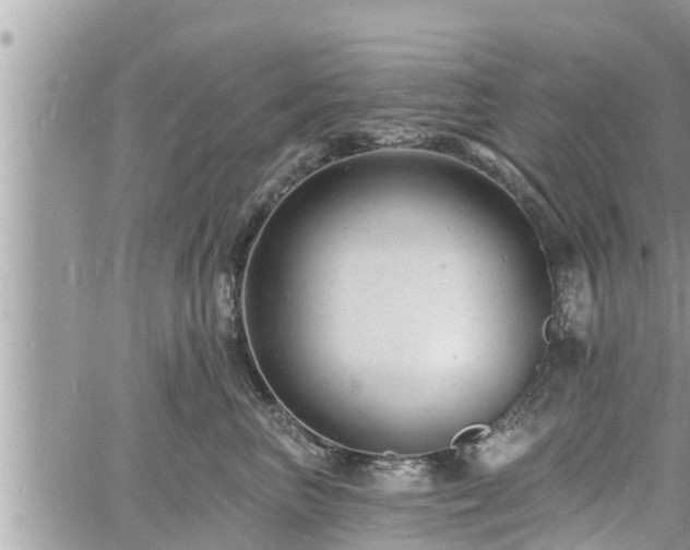 X0000060740667200511171058