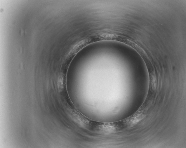 X0000060740668200511171058