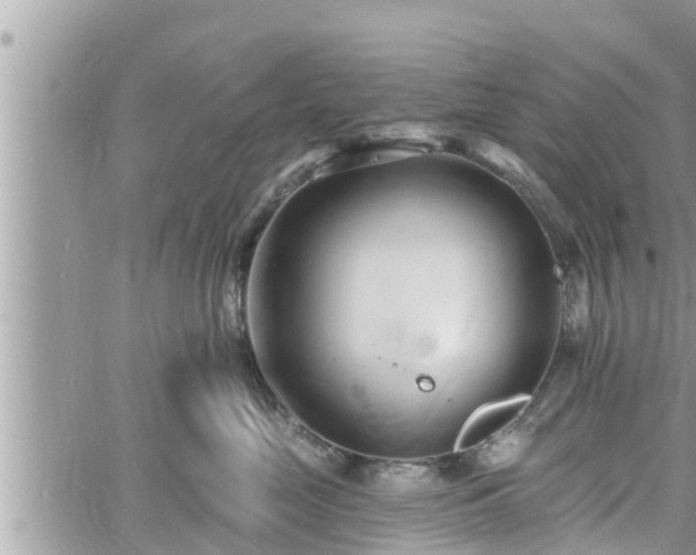 X0000060740669200511171058