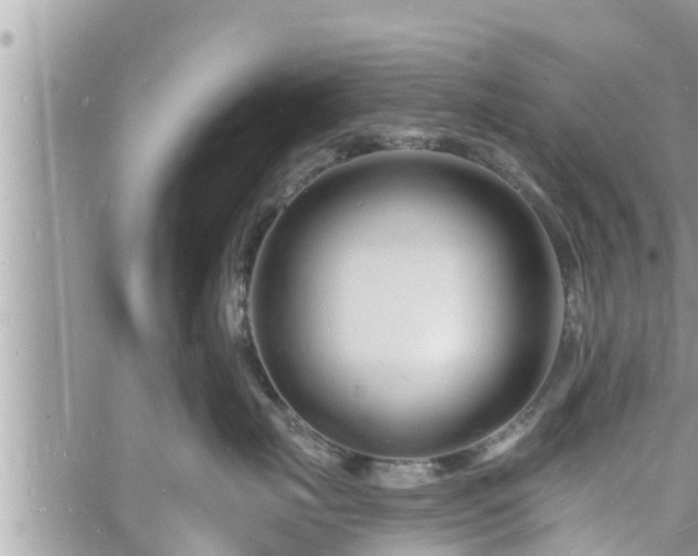 X0000060740671200511171058