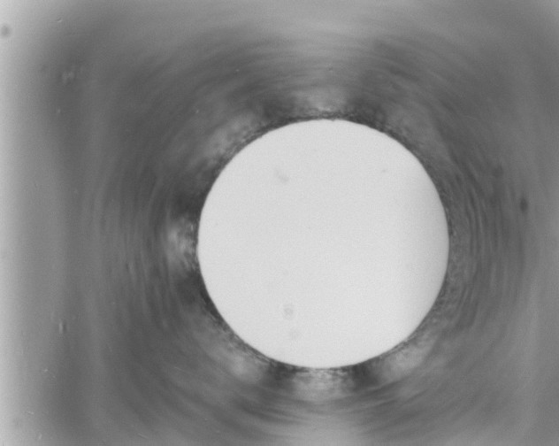 X0000060740672200511171058