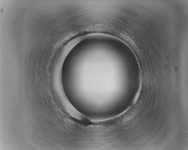 X0000060740673200511171058