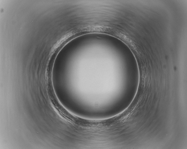 X0000060740674200511171058