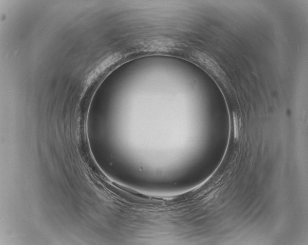 X0000060740675200511171058