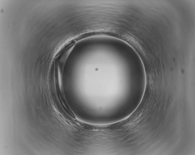 X0000060740676200511171058