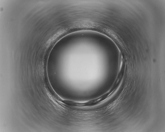 X0000060740677200511171058