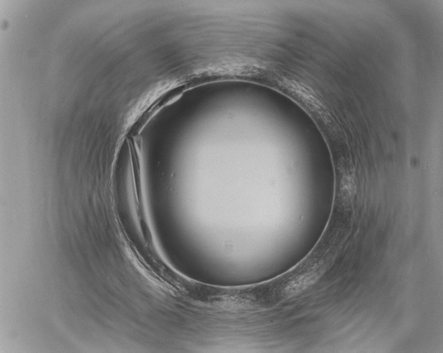 X0000060740678200511171058