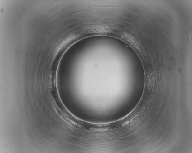 X0000060740679200511171058