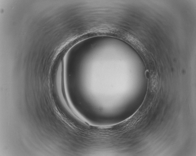 X0000060740680200511171058