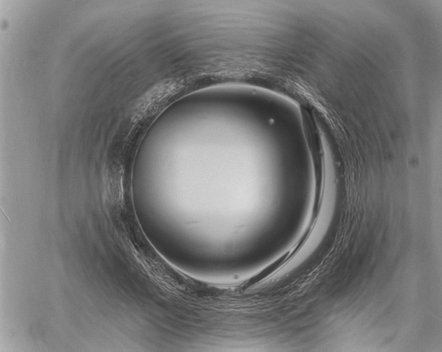 X0000060740685200511171057