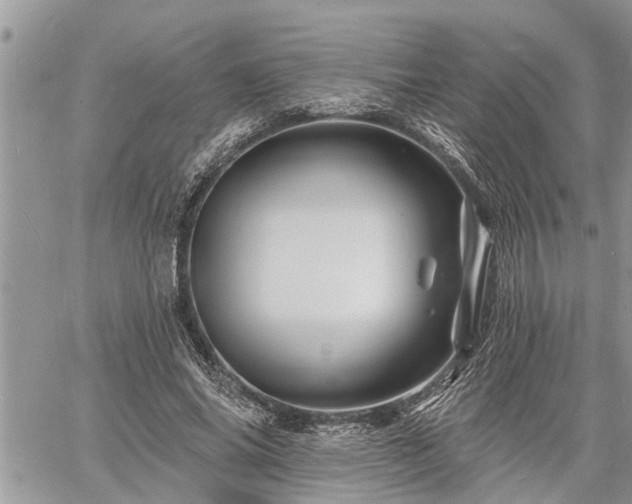 X0000060740686200511171057